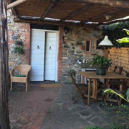 Casa Bouganville Massa Macinaia Bagian luar foto